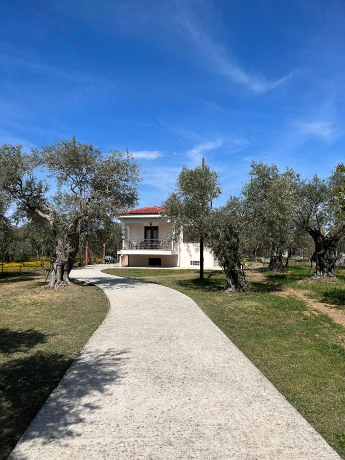 Villa Calypso Σκάλα Ραχωνίου Εξωτερικό φωτογραφία