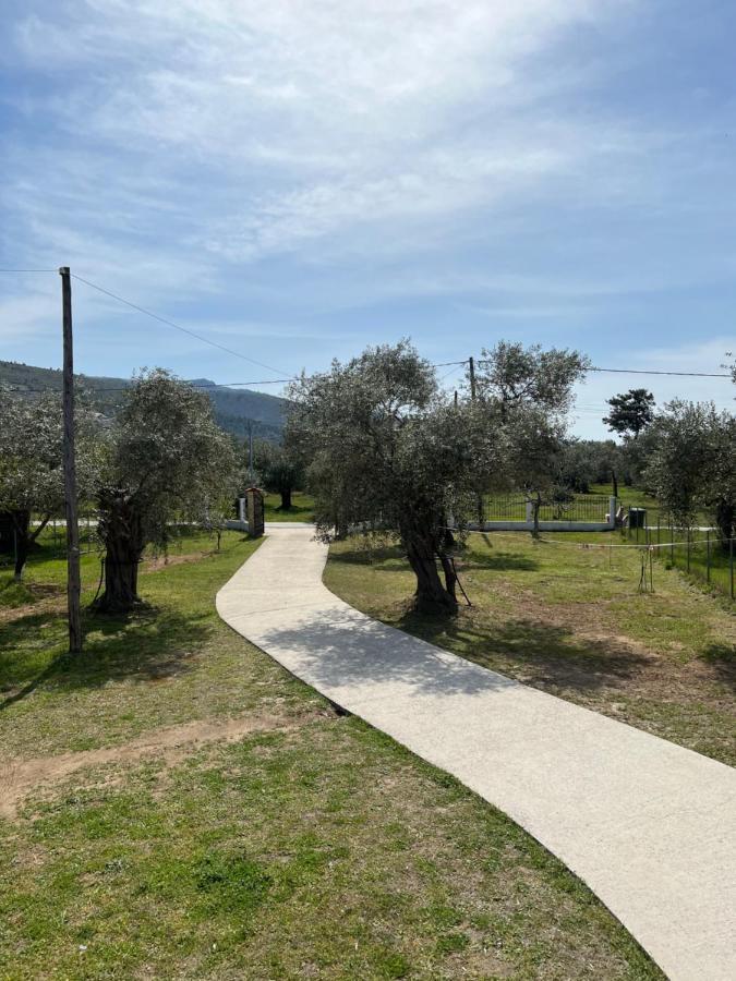 Villa Calypso Σκάλα Ραχωνίου Εξωτερικό φωτογραφία